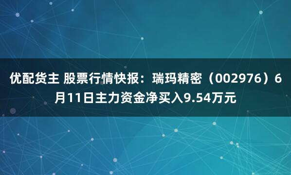 优配货主 股票行情快报：瑞玛精密（002976）6月11日主力资金净买入9.54万元