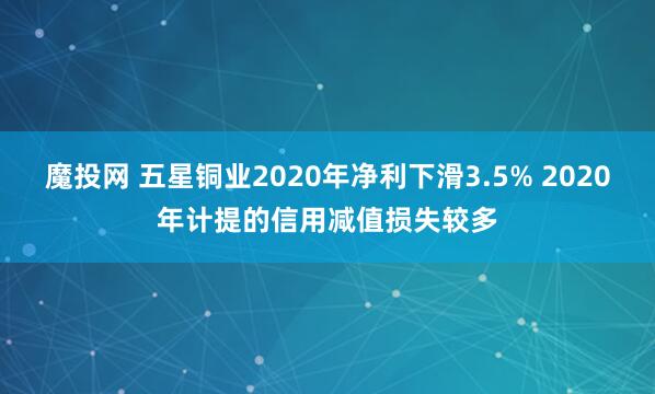 魔投网 五星铜业2020年净利下滑3.5% 2020年计提的信用减值损失较多