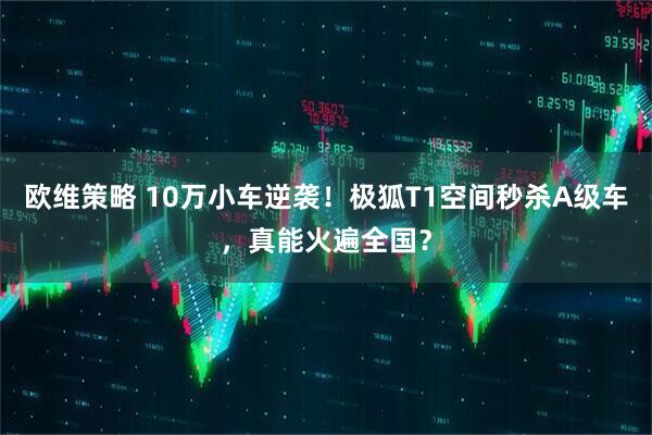 欧维策略 10万小车逆袭！极狐T1空间秒杀A级车，真能火遍全国？