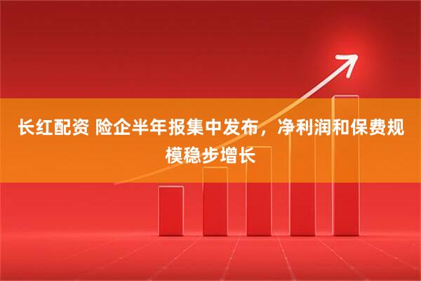 长红配资 险企半年报集中发布，净利润和保费规模稳步增长